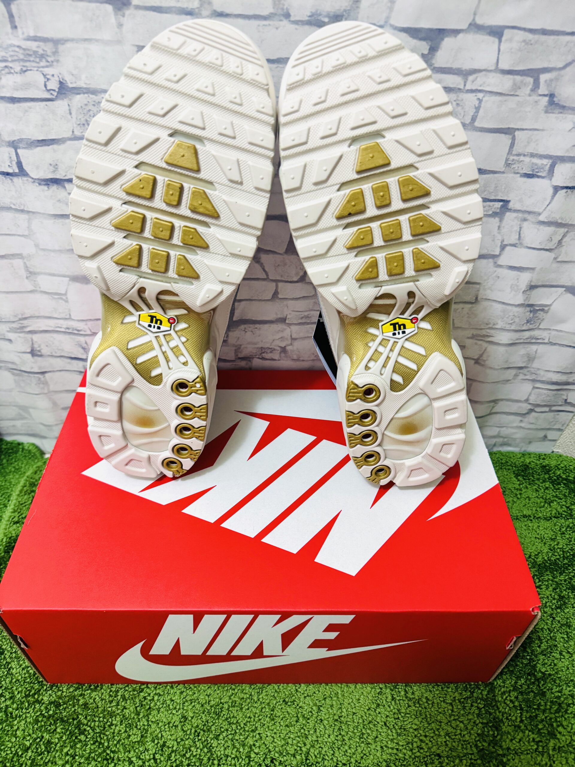 Nike Air Max Plus Tiempo Phantom and Metallic Gold(ナイキ エアマックスプラス ティエンポ ファントム アンド メタリックのソール画像