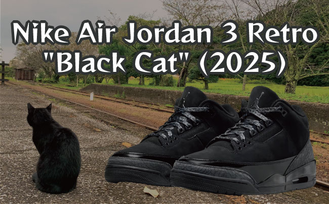 Nike Air Jordan 3 Retro Black Cat (2025)(ナイキ エアジョーダン3 レトロ ブラックキャット (2025))のメイン画像